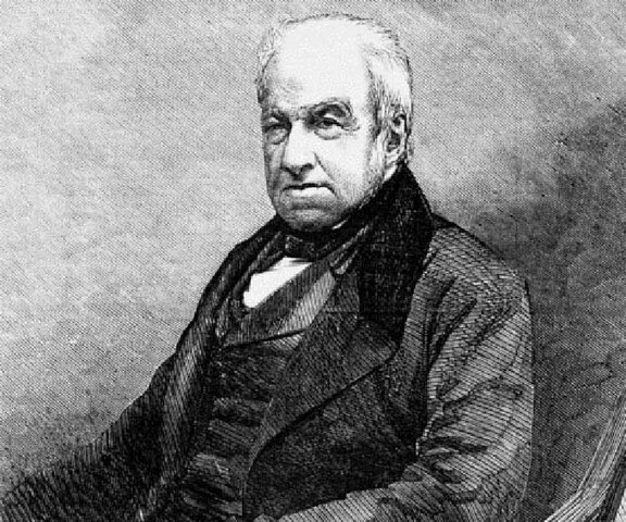 Células en las orquideas.