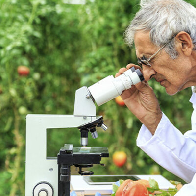 Timeline: Historia de la química de alimentos