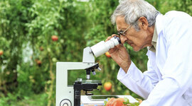 Timeline: Historia de la química de alimentos