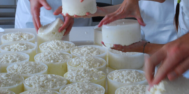 Fermentación de los alimentos