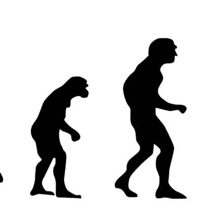Timeline: Odisea de la especie