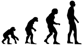 Timeline: Odisea de la especie