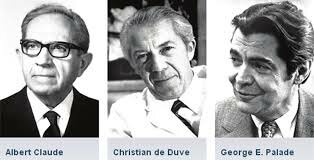Albert Claude (1899-1983) Christian de Duve (1917-2013) y George Palade (1912-2008).