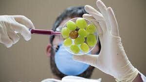 Adulteración de los alimentos