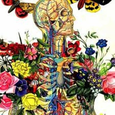 Timeline: ORIGIN OF LIFE, EVOLUTIONS AND TAXONOMY