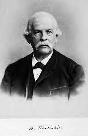 Albert Koelliker (1817-1905)