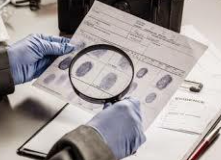 Archivos Criminológicos