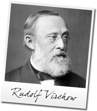 Rudolf Virchow.