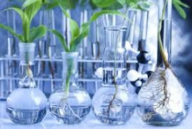 Primer libro sobre la química agrícola y alimentaria