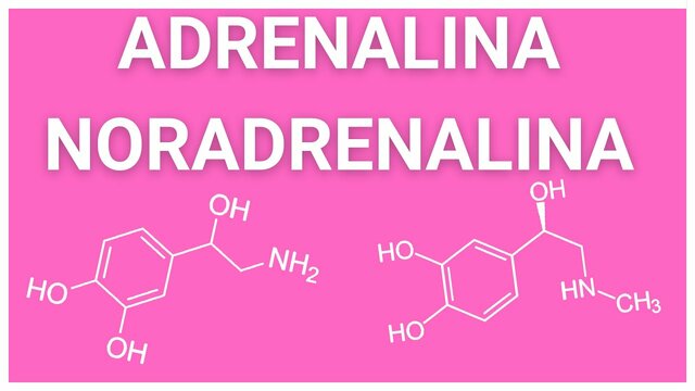 Ulf von Euler y Julius Axelrod