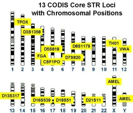 Start of DNA Recognition