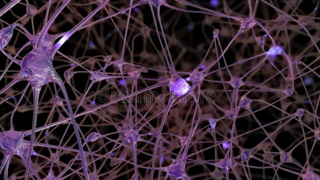 Edvard Moser y May Britt Moser descubren las células de red.