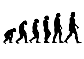 Evolution