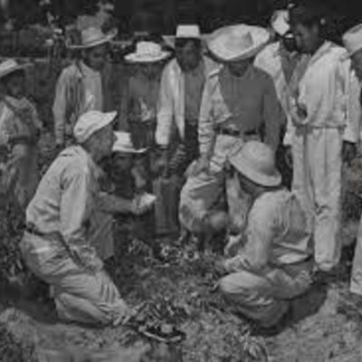 Timeline: investigación agricola en México