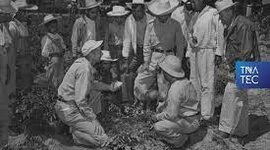 Timeline: investigación agricola en México