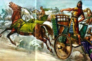 Se emplean animales para arrastrar carros