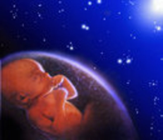 ALQUIMIA DOS ELEMENTOS