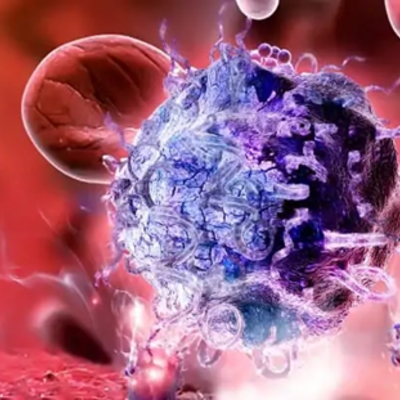 Timeline: Historia de la Biología