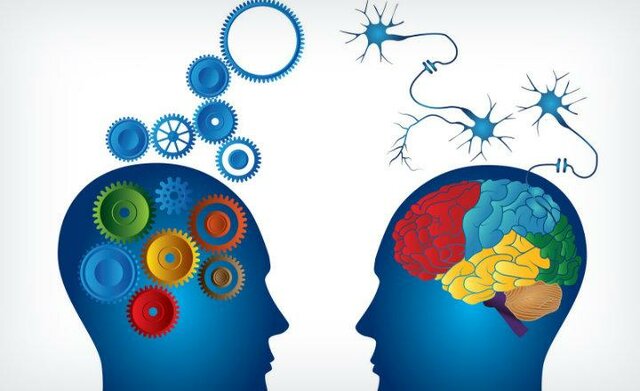 Principios de la didactica