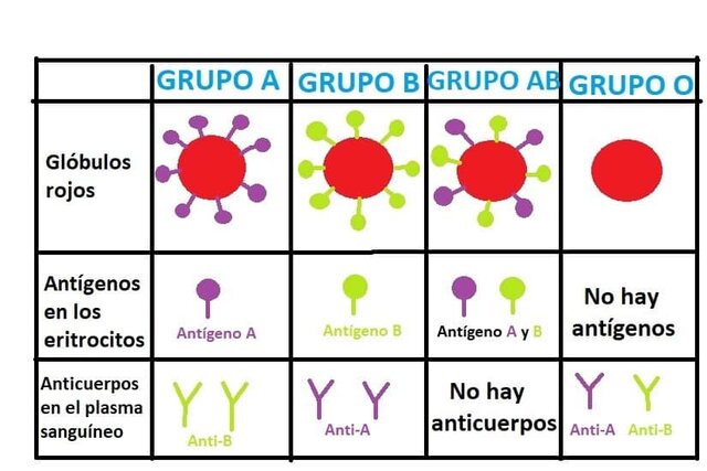 GRUPOS SANGUINEOS ABO