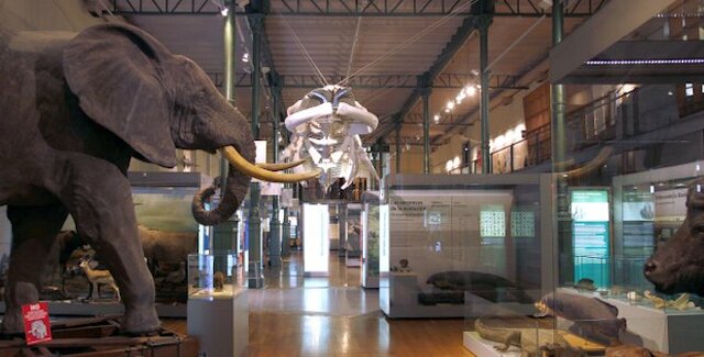 Museo de Ciencias Naturales