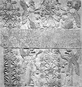 En Medio Oriente ya se usaban técnicas genéticas complejas