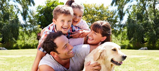 OTROS MODELOS SISTEMÁTICOS QUE DESARROLLAN UNA NUEVA CONCEPCIÓN EN LA FAMILIA.