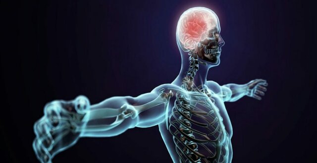 Fsiología en América Latina.