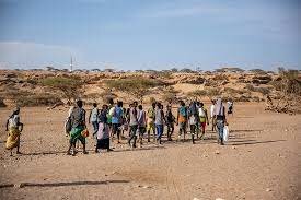 Investigación de migración de Africanos