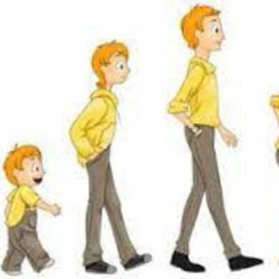 Timeline: CICLO VITAL