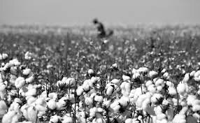 CONFLICTOS SECTORIALES DE ESTADOS UNIDOS.