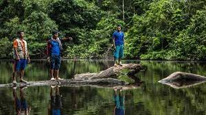 Politico y económico