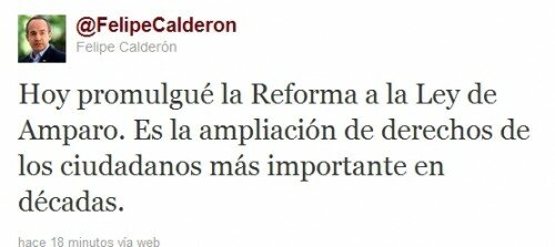 Reforma en materia de Amparo