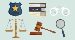 Artículo 115° Constitucional