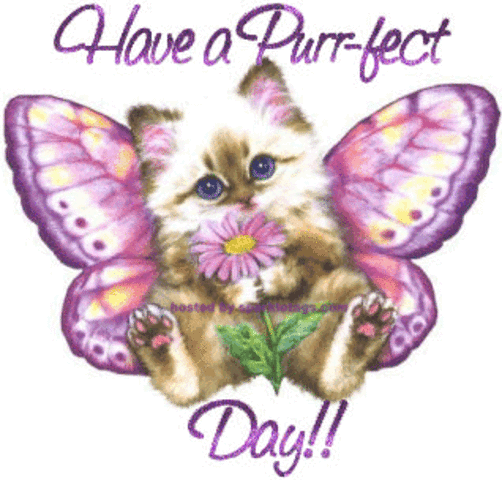 The Thirteenth Tuesday We Talk  About The Perfect Day