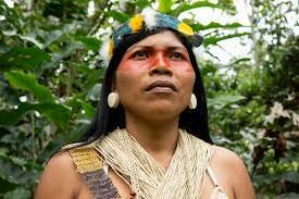 Nemonte Nenquimo