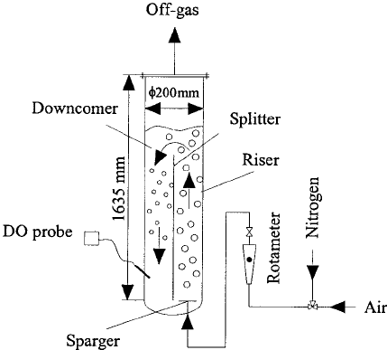 Biorreactor Air-lift