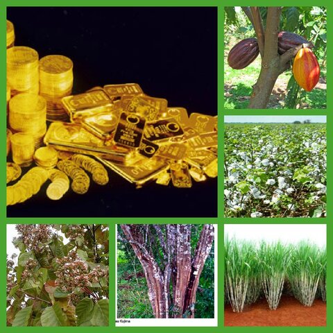 S2 - La Nueva Granada fue relativamente próspera