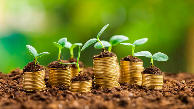 Desarrollo económico de la nación.