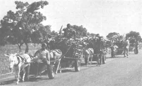 Acceso a la materia prima