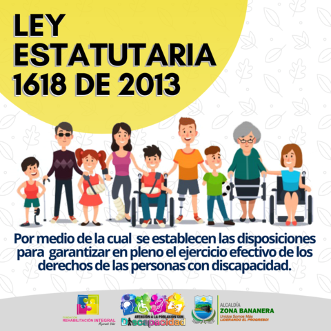 Ley Estatutaria 1618 de 2013