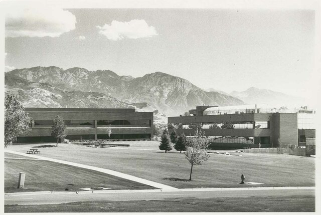 Gráficos computacionales. El realismo y la interacción