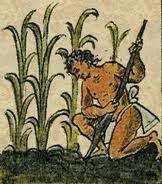 La enfermedad y la  teoría cósmica o sideral