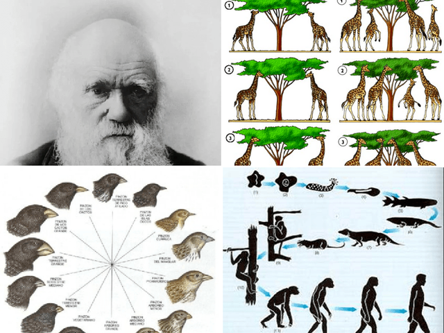 El darwinismo en primer lugar como secuela de la revolución de 1868 y la I República.