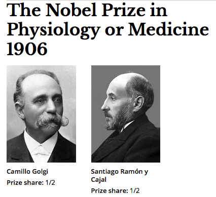 Santiago Ramón y Cajal compartió el Premio Nobel de Fisiología y Medicina con el médico italiano Camillo Golgi por sus descubrimientos sobre la estructura del sistema nervioso