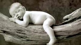 Timeline: Time line project psych