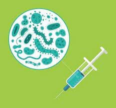 La enfermedad y la teoría microbiana