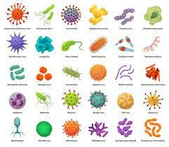 La enfermedad y otras nociones de causas.
