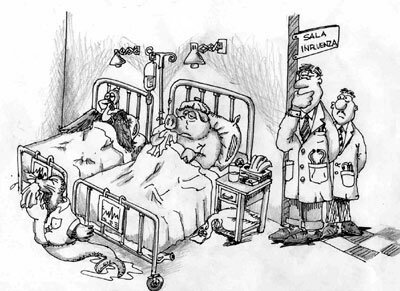 La epidemia de influenza