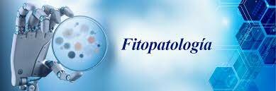 La microbio logia medica y la fitopatologia